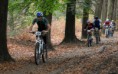 /album/a2017/dsc-0989-jpg/